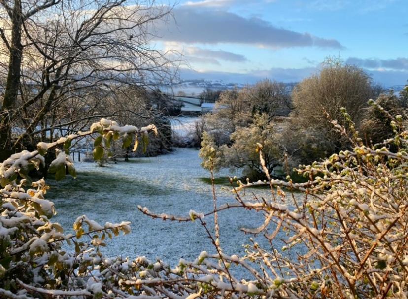 Pippin Lodge Llanwrda ภายนอก รูปภาพ