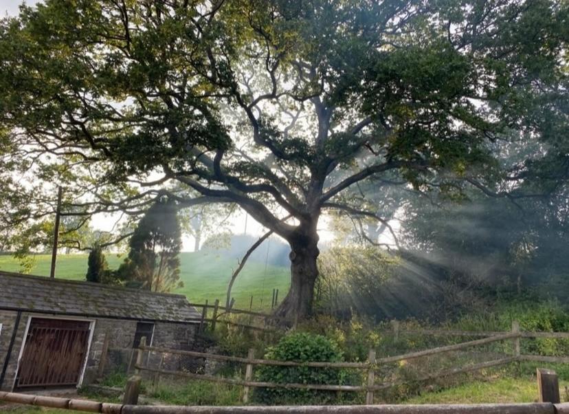 Pippin Lodge Llanwrda ภายนอก รูปภาพ