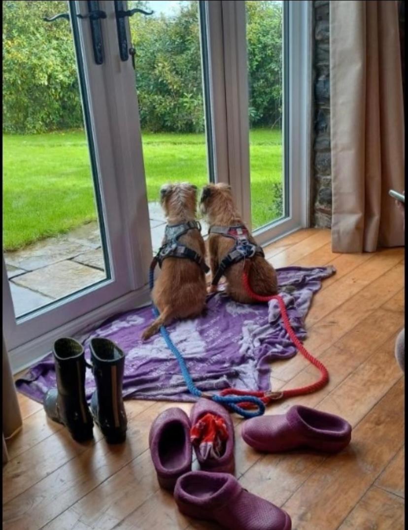 Pippin Lodge Llanwrda ภายนอก รูปภาพ