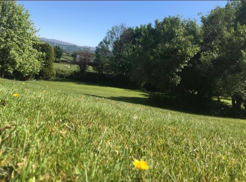Pippin Lodge Llanwrda ภายนอก รูปภาพ